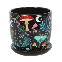 Collection image for: Decorative Pots